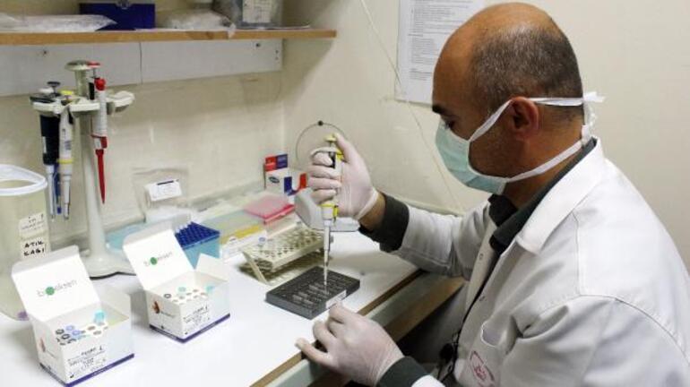 Prof. Dr. Yalçın, Türkiyede en fazla görülen mutant virüsü açıkladı