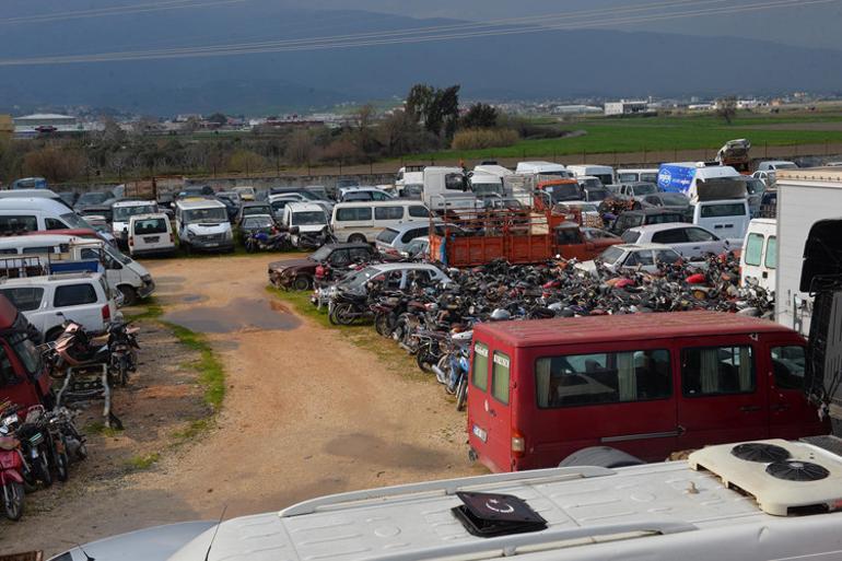 Hepsi çürümeye terk edildi... 80 milyon liralık servet