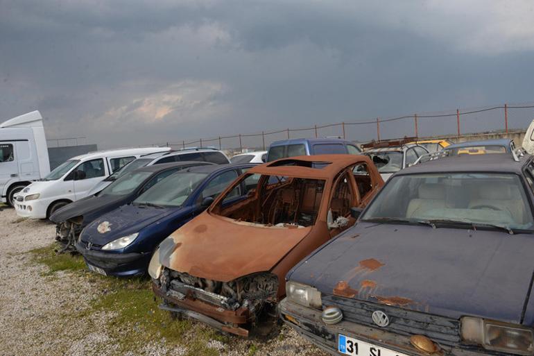 Hepsi çürümeye terk edildi... 80 milyon liralık servet