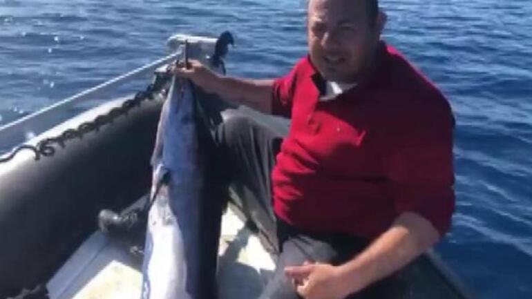 40 kiloluk dev kılıç balığını görenler şaştı kaldı