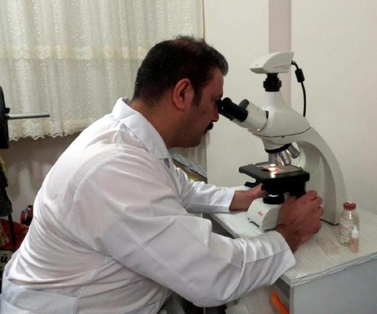 Dünyada sadece Artvinde yetişen bir mantar türü keşfedildi