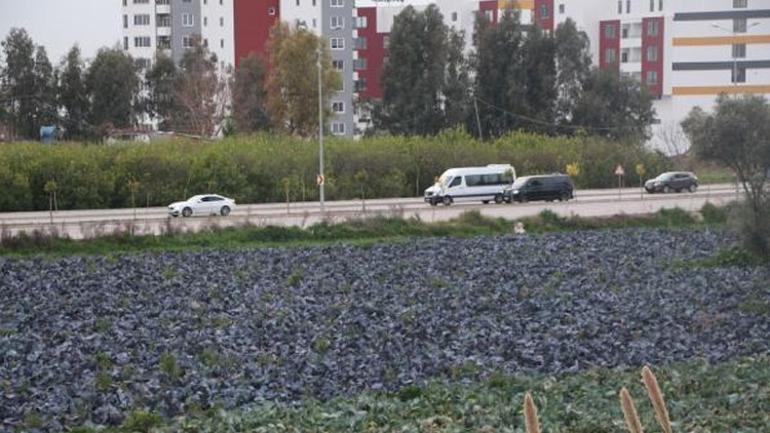 Flaş uyarı Risk korkutuyor... Yol kenarındaki köy ürününde büyük tehlike