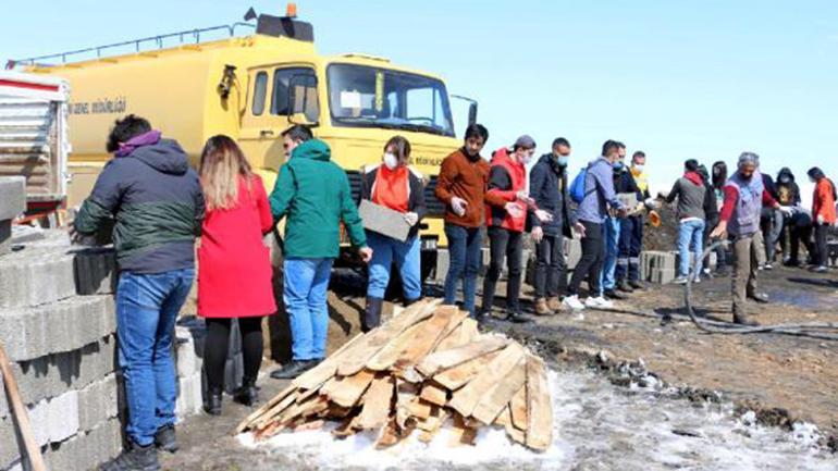 Vanda, hayvanseverlerden sokak köpekleri için kulübe