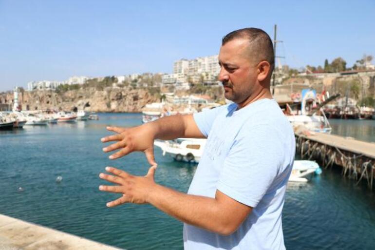 Antalyada zehirli trakonya balığı paniği Anlık teması hastanelik etti