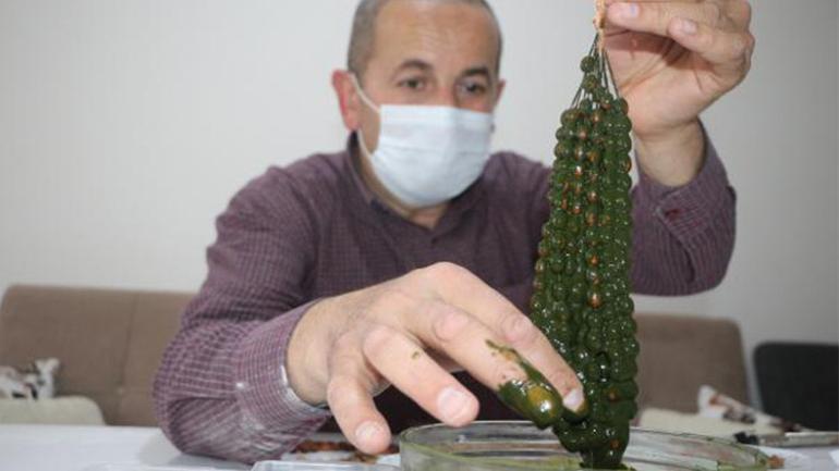 Çanakkaleden getirdiği zeytin çekirdeklerinden Onbeşliler Diyarında tespih yapıyor