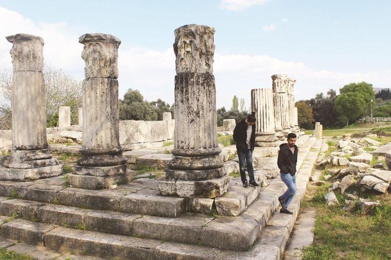 Bilge zeytin ağacının gölgesinde Lagina