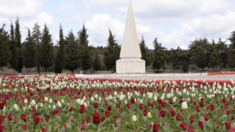 Çanakkale şehitlikleri, kırmızı beyaz lalelerle donatıldı