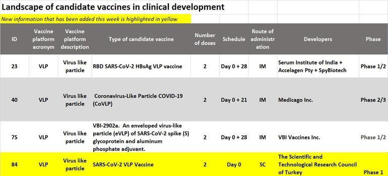 Bakan Varank'tan aşı müjdesi! Faz-1 insan denemelerine başlandı