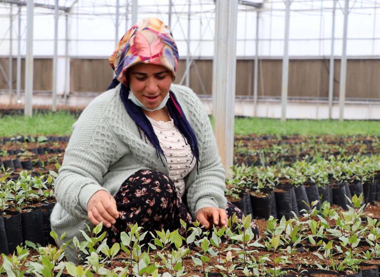 İlk defa kendi paralarını kazandılar... 7 kadın beraber kurdu! Almanya'ya ihraç ediyorlar