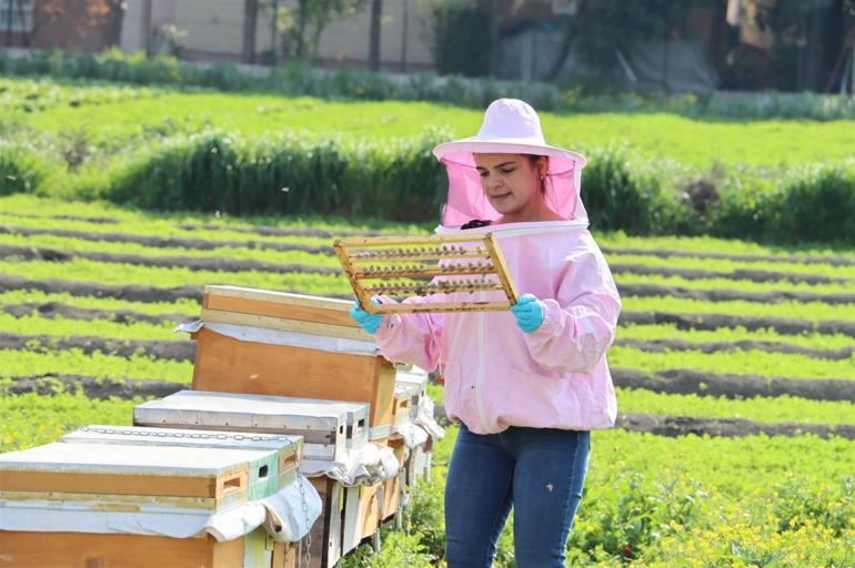 Satranç antrenörüydü... Çocukları için başladı Şimdi talebe yetişmeye çalışıyor