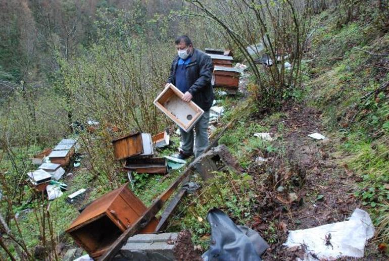 Boz ayı bahçeye girdi 30 kovanı parçaladı