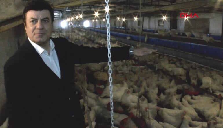 Coşkun Sabah, Eskişehir'de tavuk çiftliği kurdu