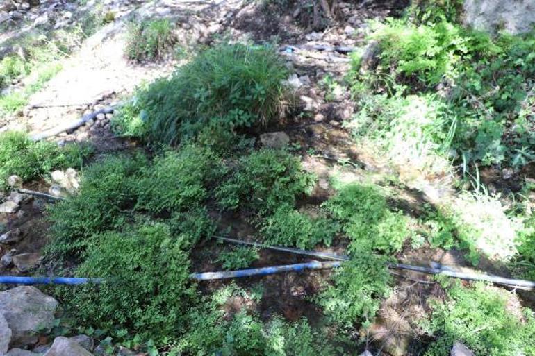 Kelebekler Vadisinde kaçak su kullanımı Kriz hala devam ediyor