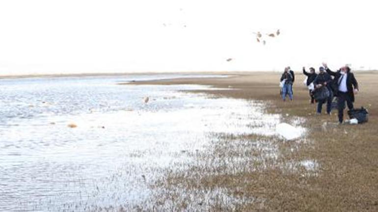 Kuş cennetine yüzlerce ekmek attılar