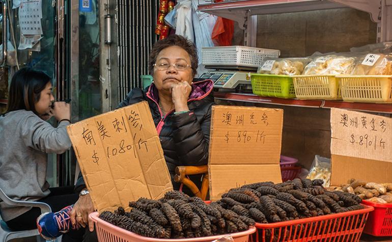 Meksikalı balıkçılardan Japon yakuzasına herkes onların peşinde