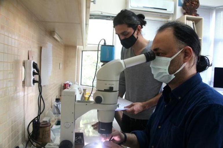 İlk kez görüldü, öldürücü... İsmini Adana koydular