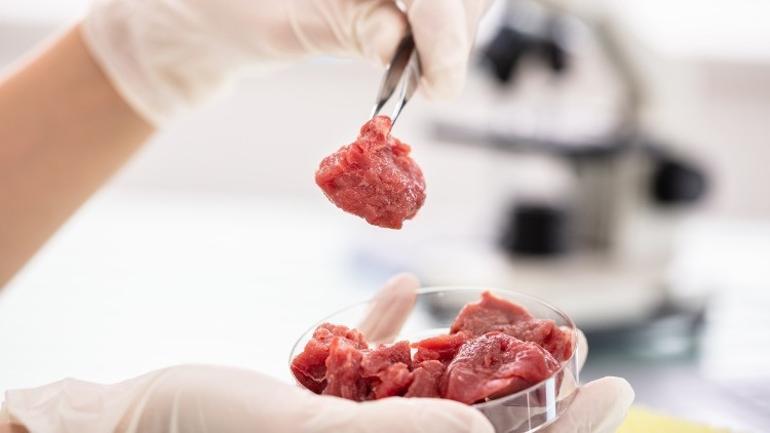 Veganlara ve et tüketenlere sorduk: Yapay ete nasıl bakıyorsunuz