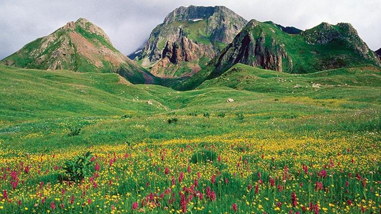 Karadeniz’in yıldızı Artvin’de 10 adım