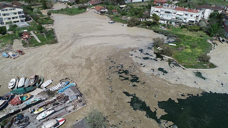 Kötü kokuyor, aylar önce geldi ve gitmiyor... Deniz salyası Marmara'yı esir  aldı! - Son Dakika Haberleri İnternet