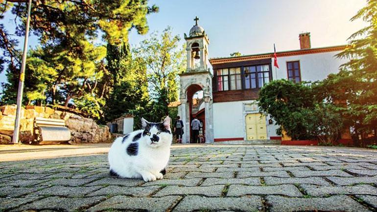 Büyükada’da yürüyüşten daha fazlası...