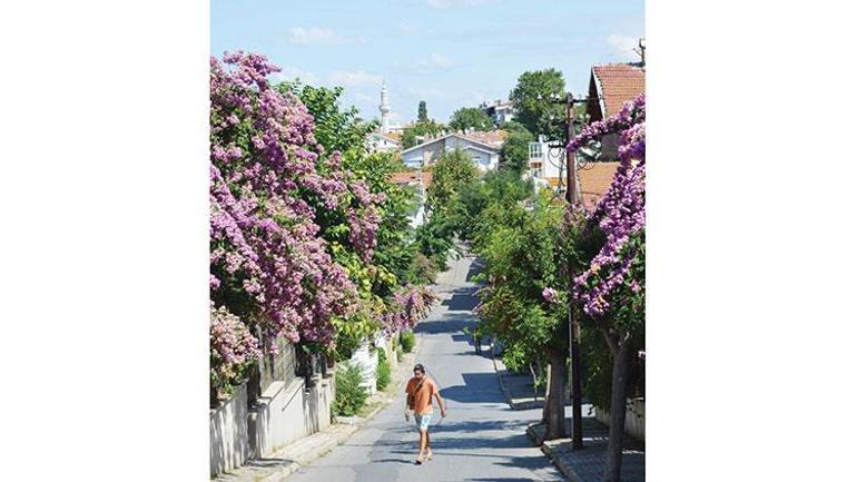 Büyükada’da yürüyüşten daha fazlası...