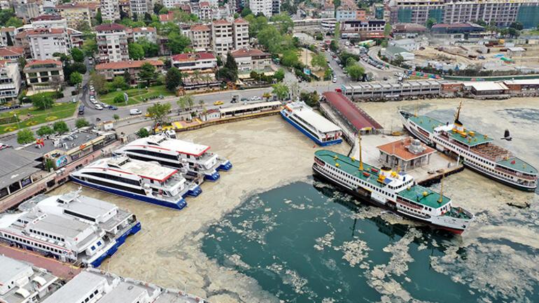 Marmara Denizinde tehlike çanları: 15 senedir böyle bir durumla karşılaşmadım