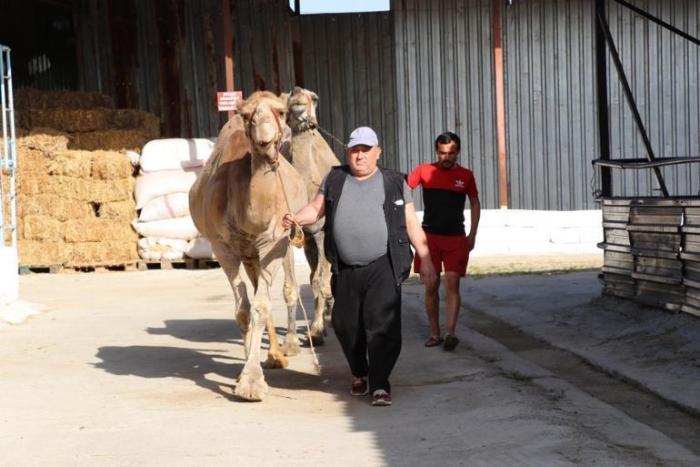 Talep patlaması yaşandı! Siparişlere yetişemiyorlar... Litresi 100 liradan satılıyor