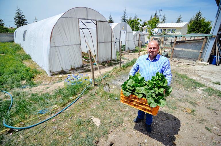 Hobi amaçlı bahçesine kurdu! Şimdi talebe yetişemiyor