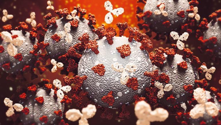 Hangisine güvenelim