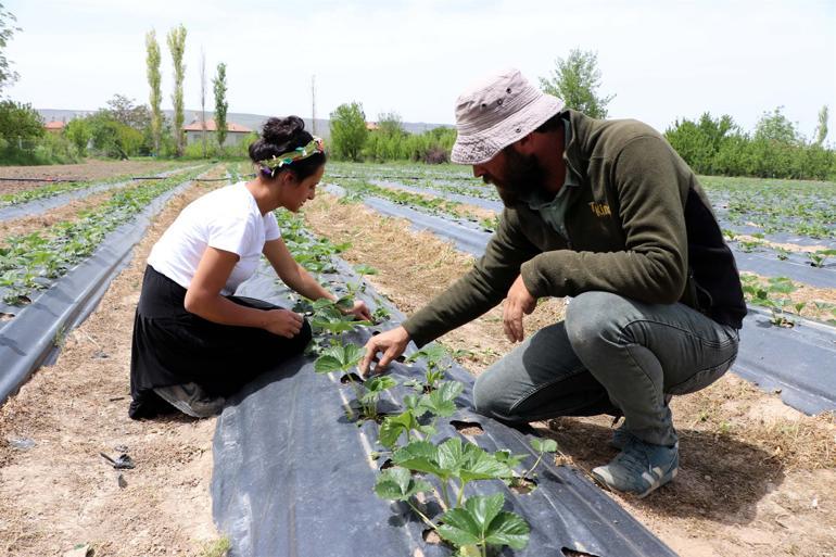 Kayseri'de yaşayan Mustafa Efe, 2 yıl önce pazarlama sektöründeki işinden ayrıldı. 2 çocuk babası, eşi Gülistan Efe ile konuşarak, şehre 80 kilometre uzaklıktaki Yeşilhisar ilçesi Kovalı Mahallesine göç etmeye karar verdi.
