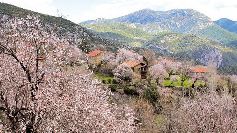 Kapısı yeşile açılan üç Toroslar köyü