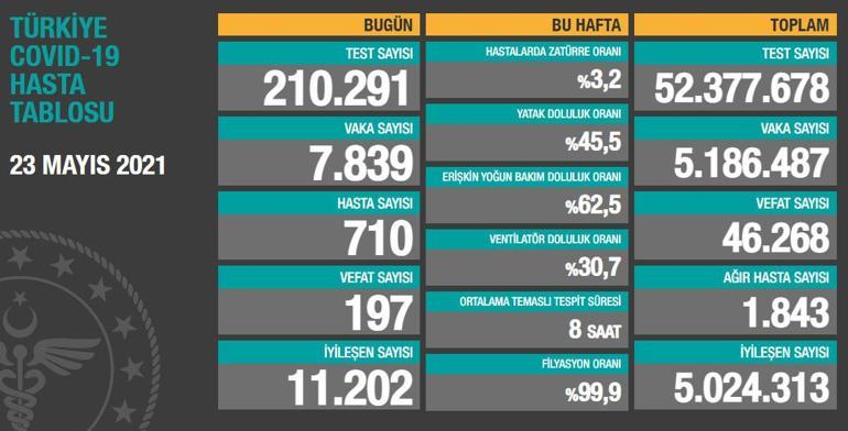 Son dakika haberi... 23 Mayıs corona virüs tablosu hasta ve vaka sayısı  Sağlık Bakanlığı tarafından açıklandı! İşte son durum - Son Dakika  Haberleri İnternet