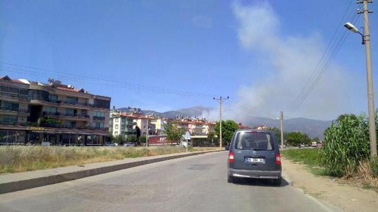 son dakika izmir odemis te orman yangini son dakika haberleri