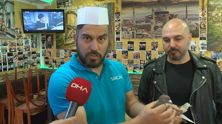 Posta güvercini molayı Türk dönercide verdi