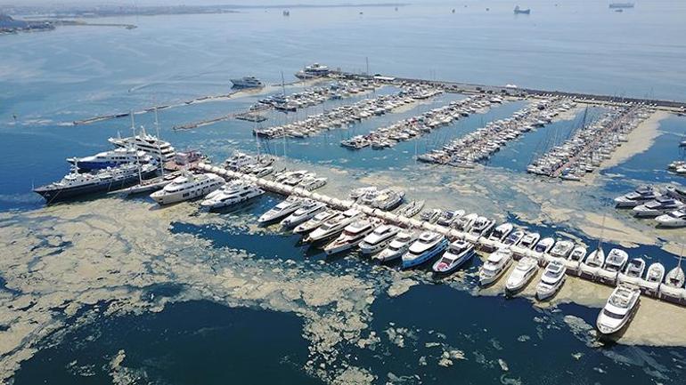Son dakika haberi... Kritik rapor yayınlandı: Müsilaj (Deniz salyası) Adriyatik Denizi’nden Ege ve Marmaraya uzandı