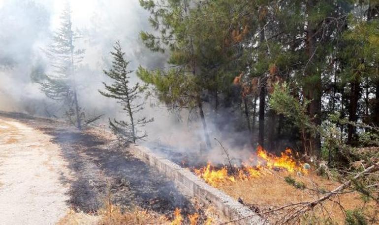 Son dakika... Antalya Serikte 3 noktada orman yangını