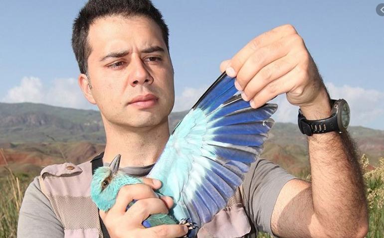 Bu haberden sonra kimse kimseye ‘kuş beyinli’ diye hakaret edemeyecek