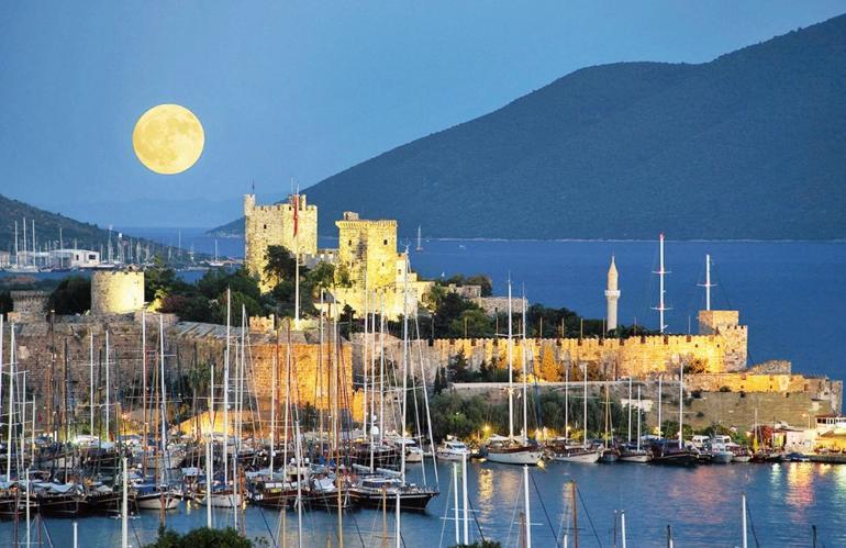 Bizim millet proje sever