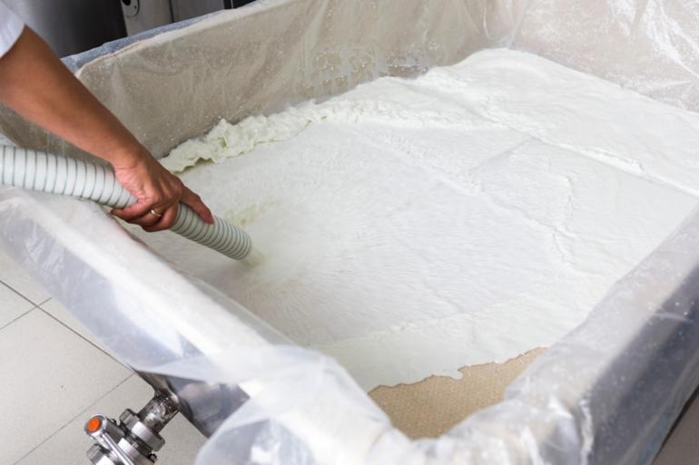 Peynir yerine ne yiyoruz | 6 SORU 6 YANIT