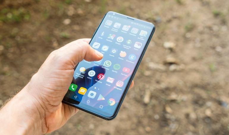 Puslu havanın çakalı