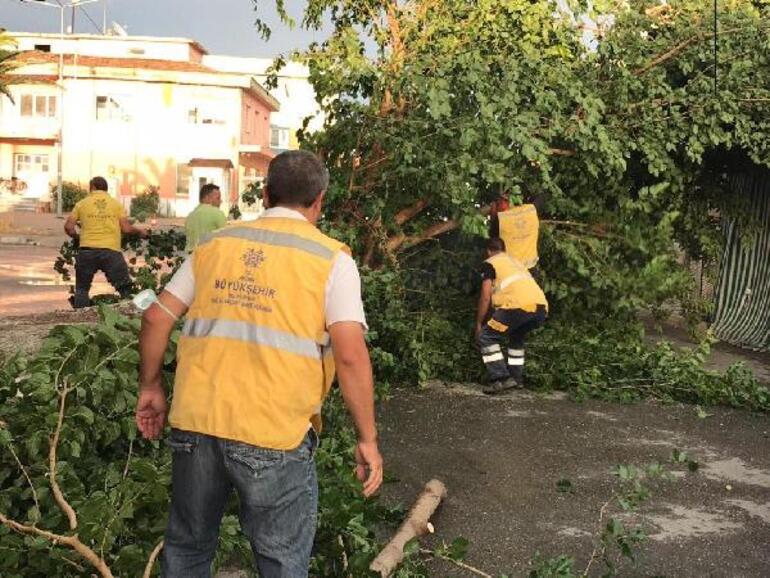 11 dakika süren tam fırtına Aydında ölüme, 5 ilçede yıkıma neden oldu Belediye Başkanı: Şimdiye kadar böyle bir şey görmedim