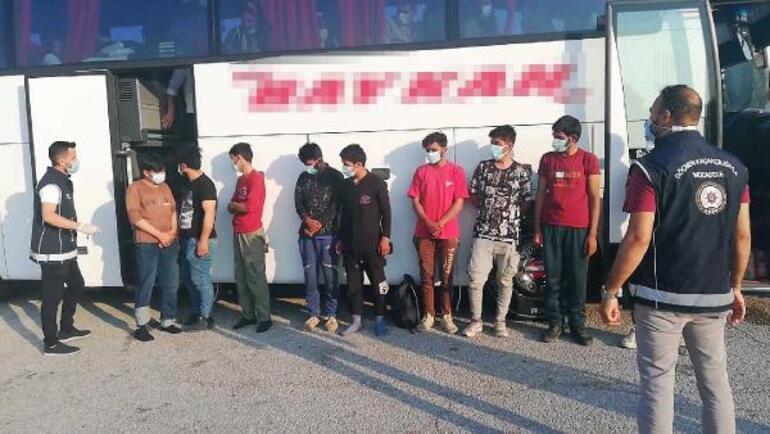 Yolcu otobüsü durduruldu, kaptanın tedirgin davranışları üzerine detaylı arama yapıldı Bagajda 12 kaçak göçmen yakalandı