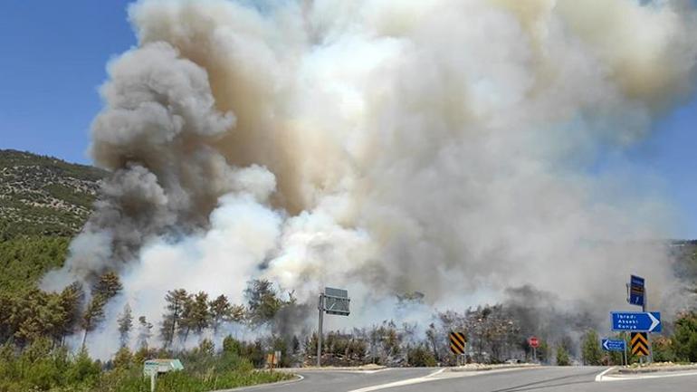 Son Dakika Antalya Da Orman Yangini Panigi Karayolu Ulasima Kapatildi