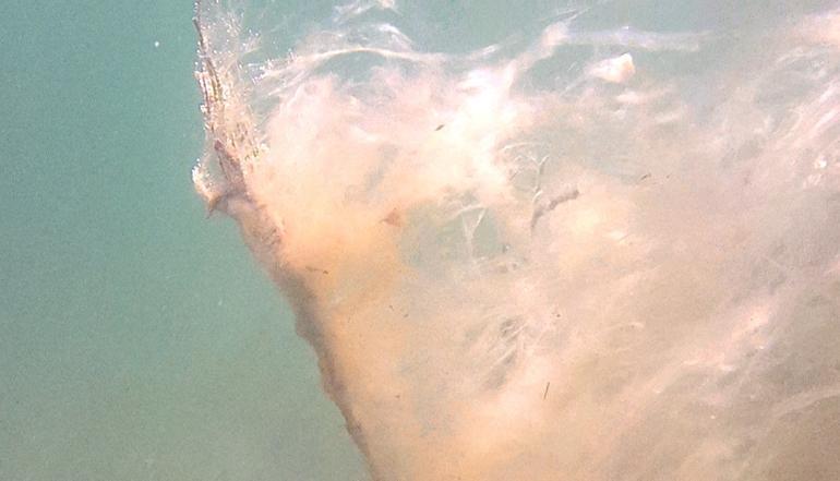 Çanakkalede müsilaj kâbusu İki yıl arasında büyük değişim