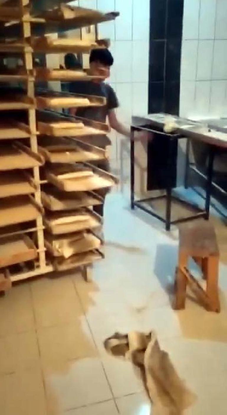 Vanda fırında rezalet Mide bulandıran görüntüler... Fırında hamurla top gibi oynamışlar