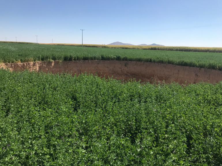 Traktör bir anda ortadan kayboldu... Görünüşlerine aldanmayın, facia Geliyorum diyor