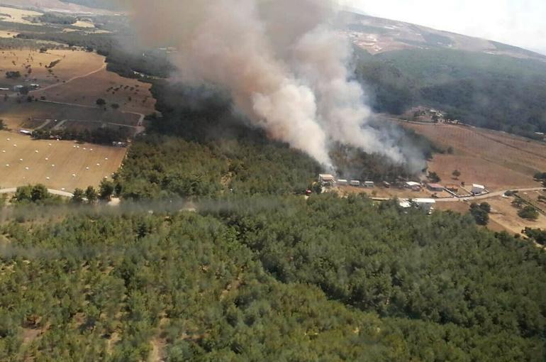 son dakika izmir bornova da orman yangini son dakika haberler