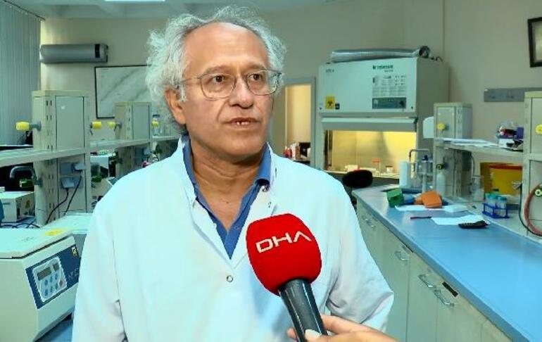 İstanbulda sivrisinek tehlikesi Prof. Dr. Yılmaz türünü açıkladı: Asya Kaplan Sivrisineği kâbusu