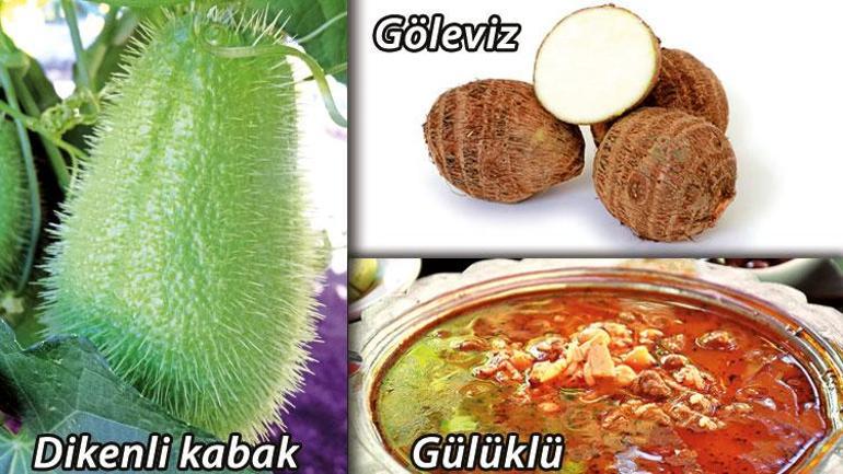 Alanya yine hayat dolu