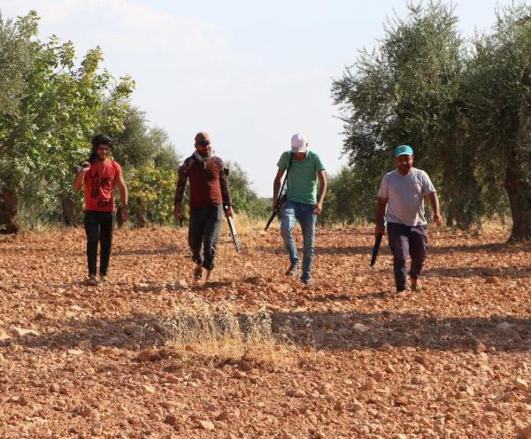 Yeşil altın olarak bilinen Antep fıstığı için 7 / 24 tüfekli nöbet